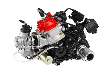 ROTAX - DD2 - EVO