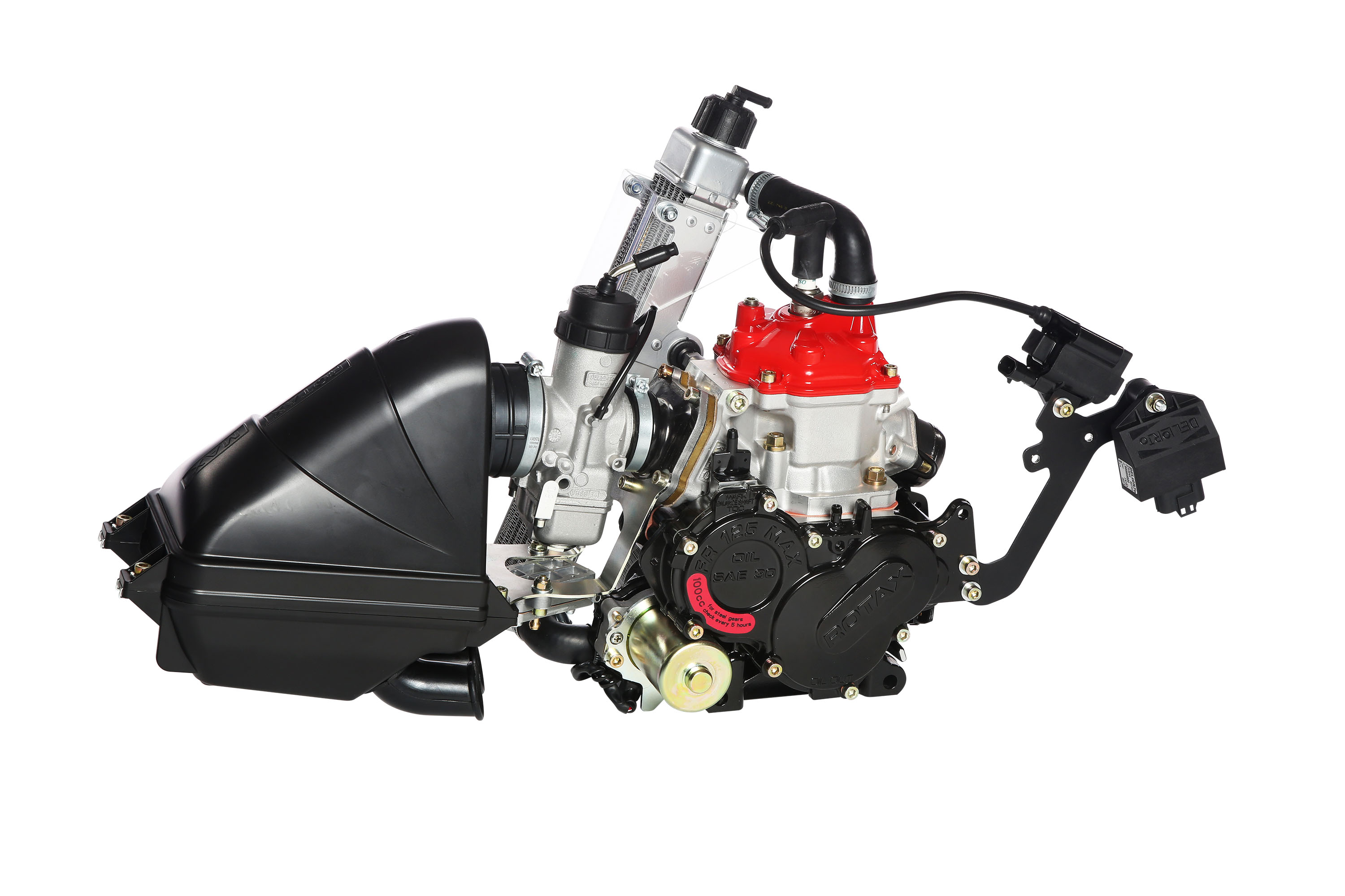 ROTAX - JUNIOR - EVO